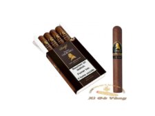Hương vị của Churchill Late Hour Robusto độc đáo